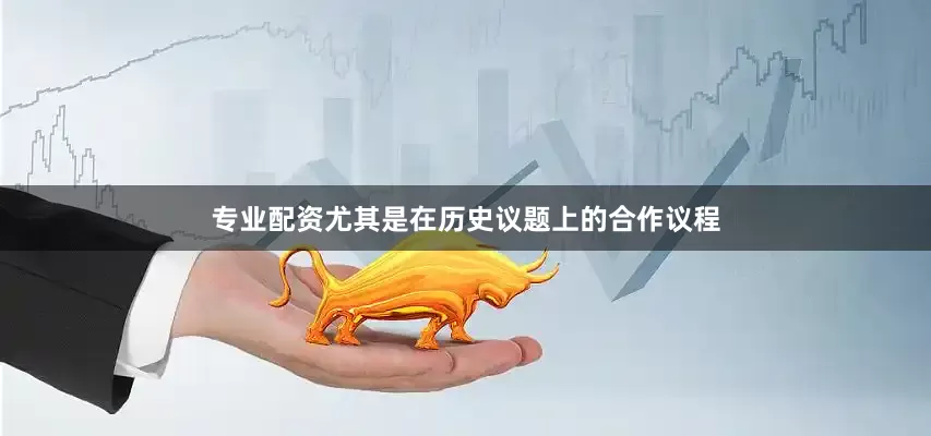 专业配资尤其是在历史议题上的合作议程