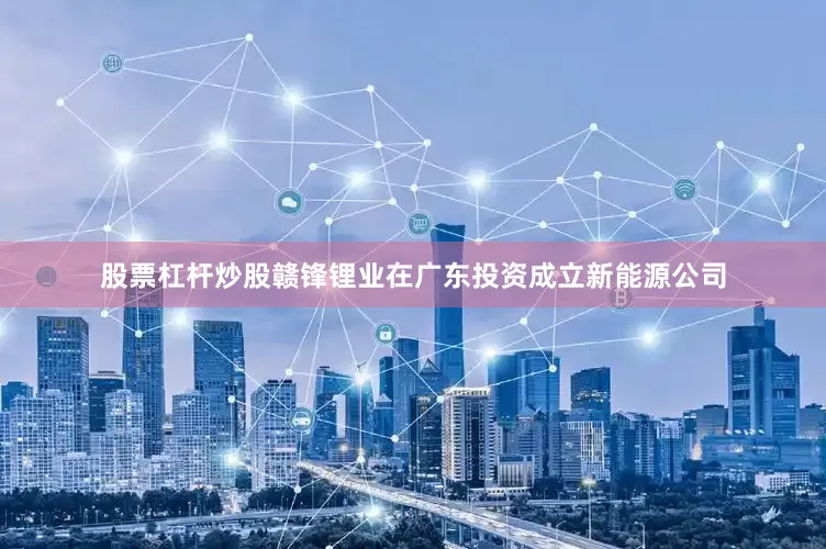 股票杠杆炒股赣锋锂业在广东投资成立新能源公司