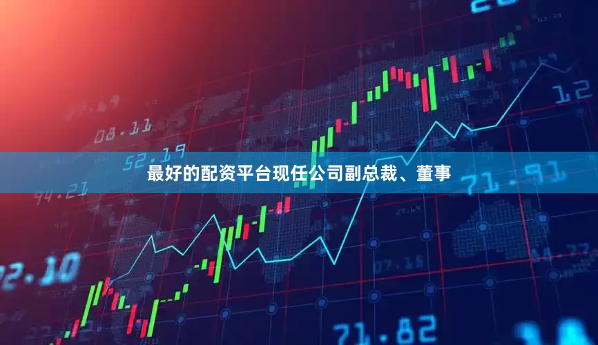 最好的配资平台现任公司副总裁、董事